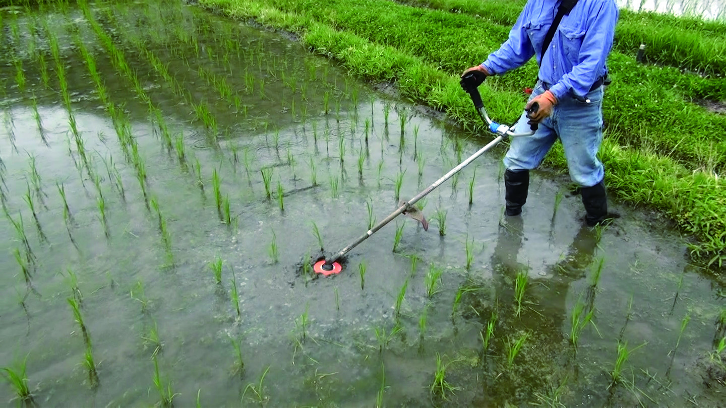 田植え後の除草の強い味方 水草カッター のご紹介 ノウキナビブログ