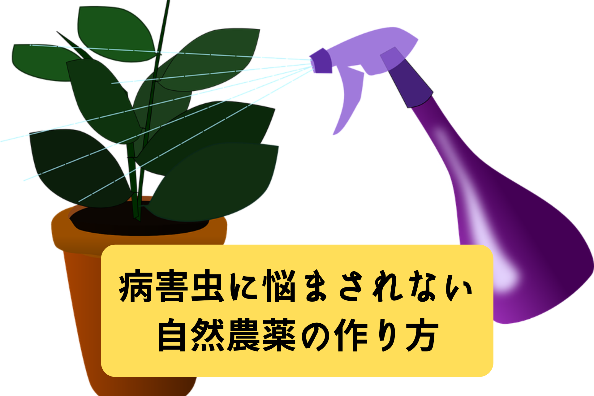 病害虫に悩まされない自然農薬の作り方 ノウキナビブログ