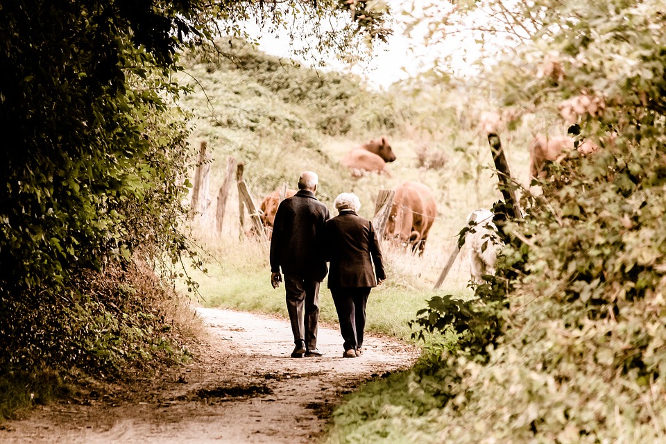 菜園を歩く老夫婦
