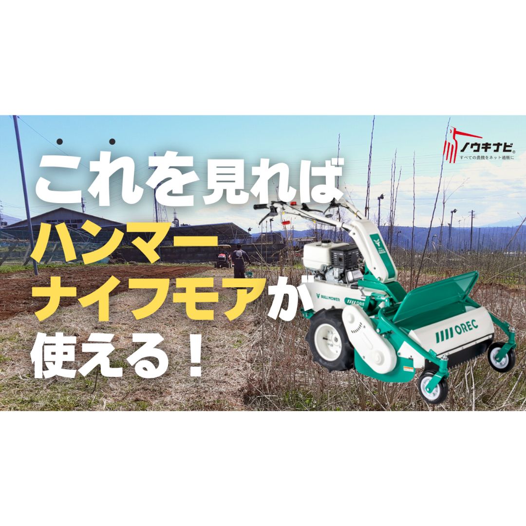 341.RUPES LH19E（オリジナル低床パッド付き） （ハンマーナイフモア 