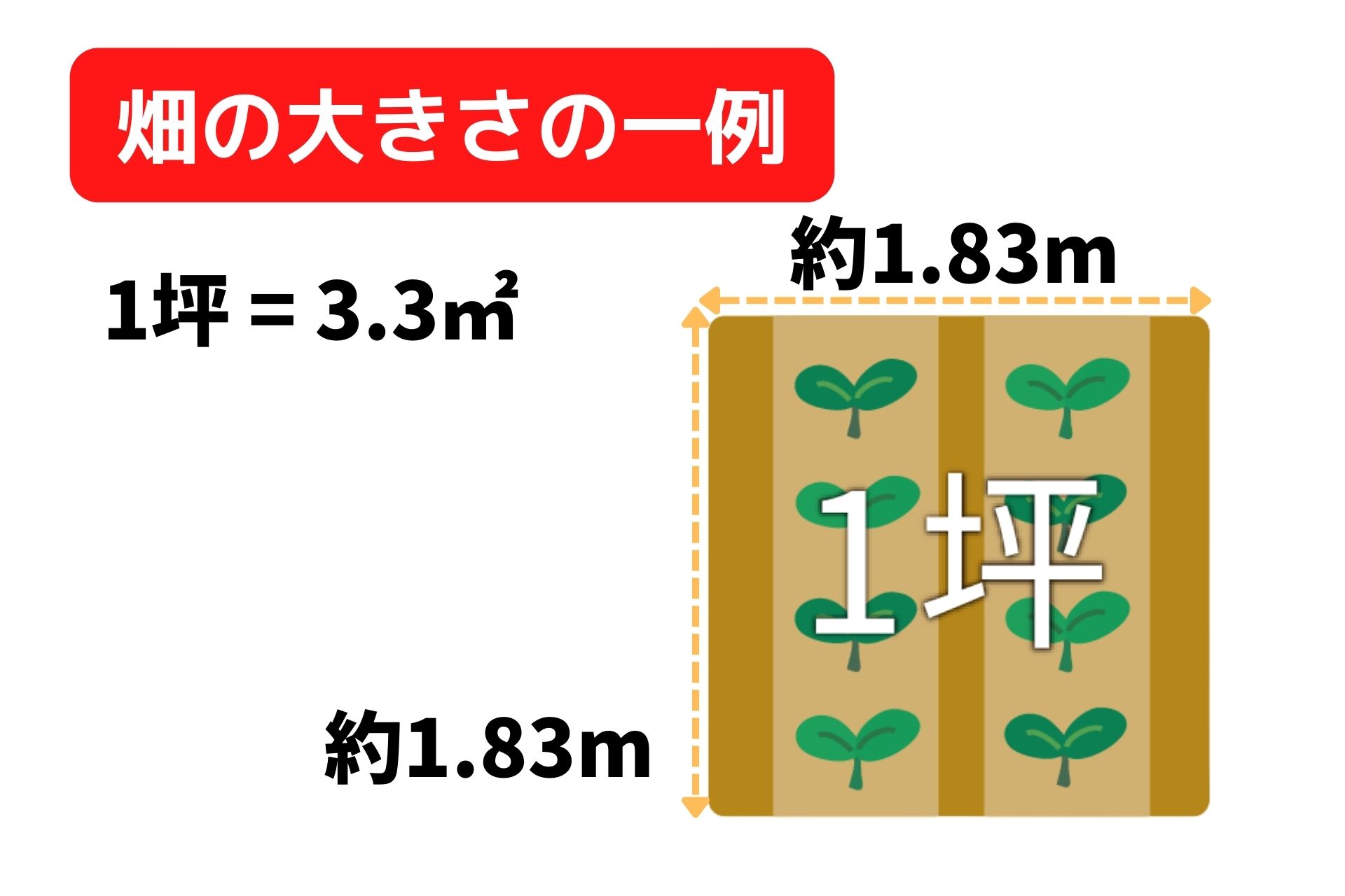 畑の大きさの一例