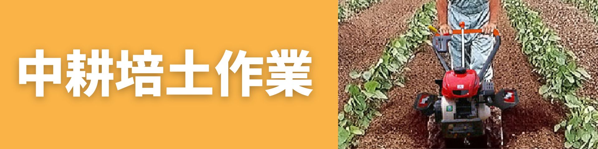 管理機・耕運機の選び方|性能や畑の大きさで最適な農機具を 管理機・耕運機の選び方|性能や畑の大きさで最適な農機具を