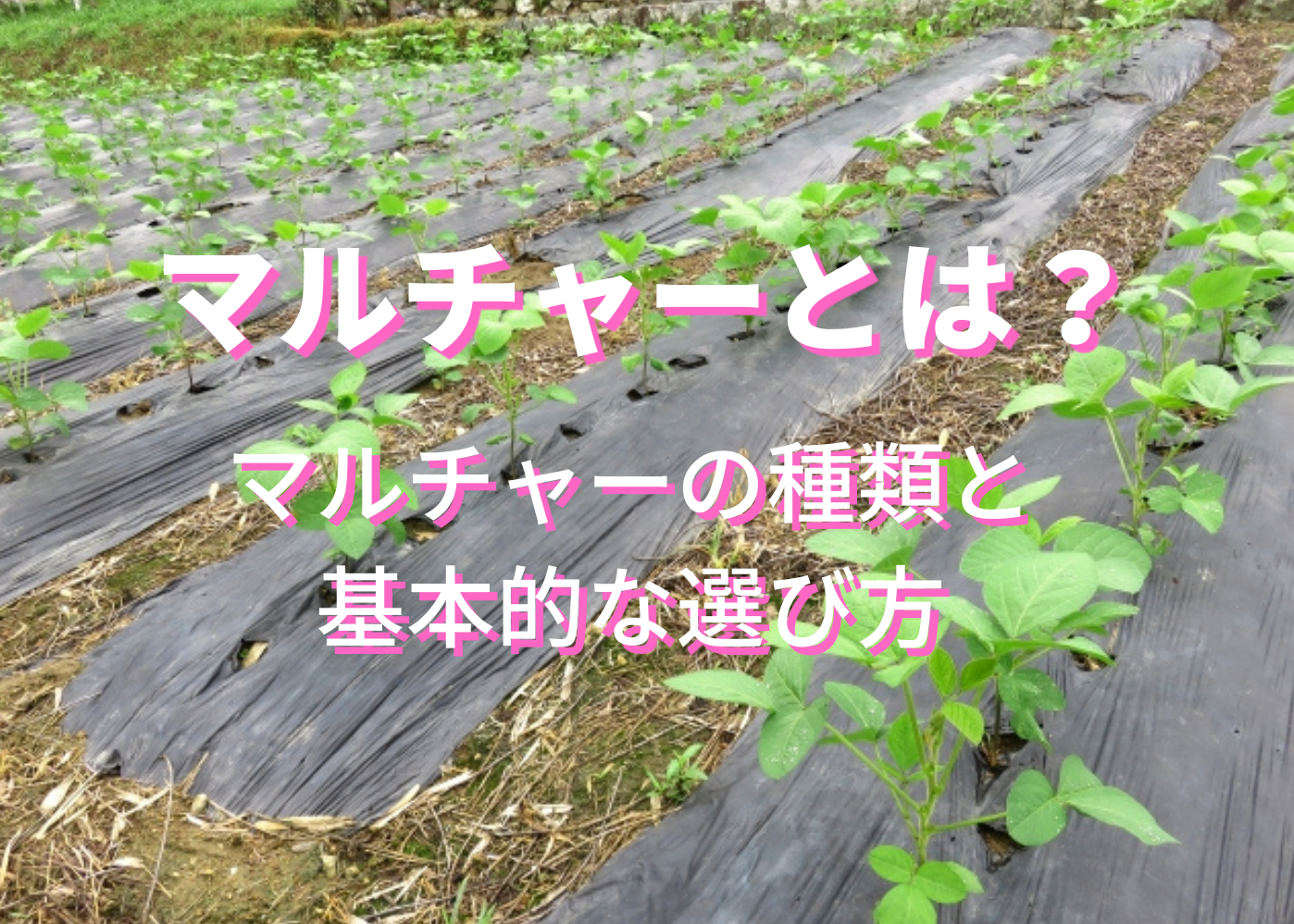 マルチャーとは？種類と選び方を徹底解説 - ノウキナビブログ｜農機 
