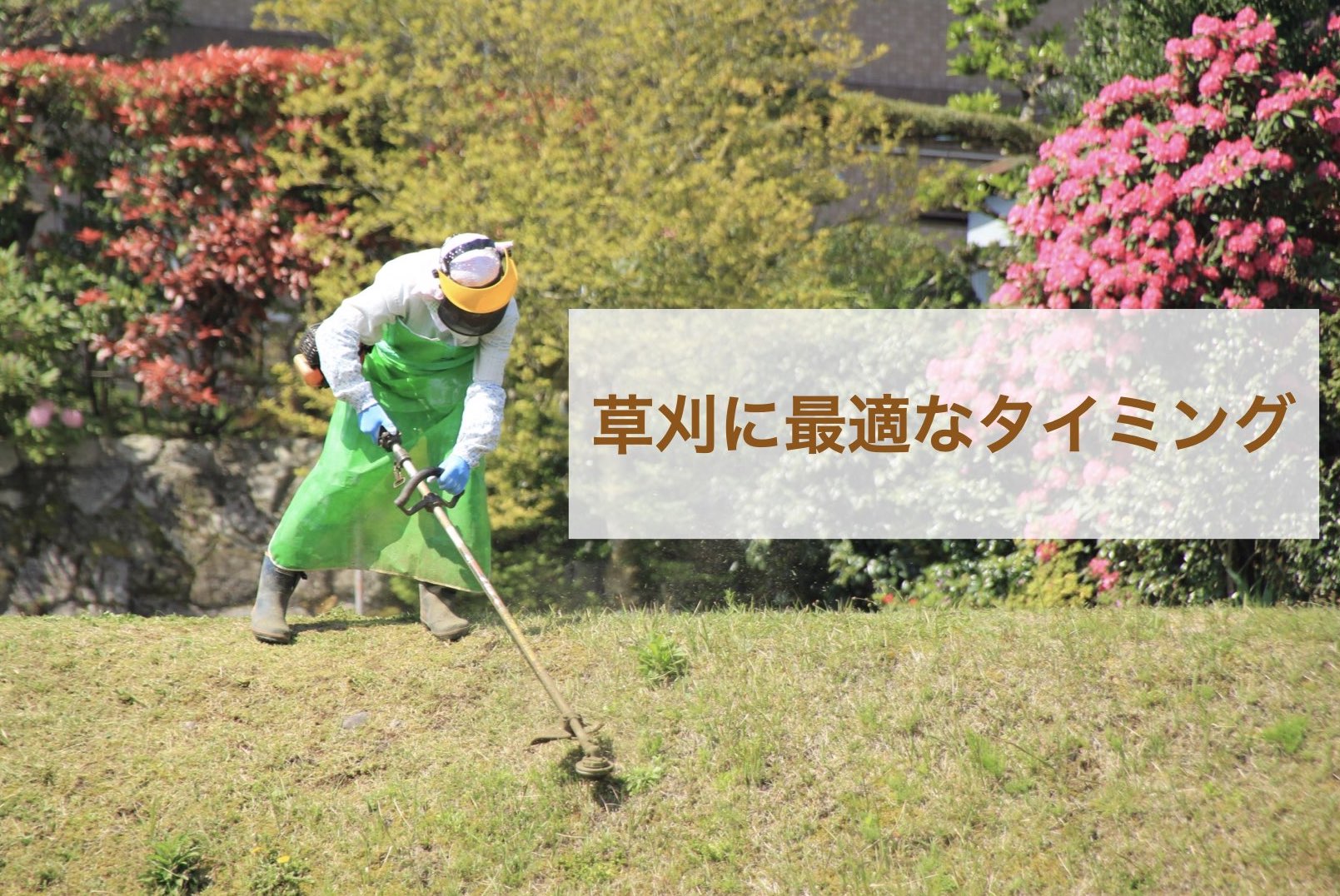 草刈りの最適なタイミングについて - ノウキナビブログ|農機情報をお届け中!