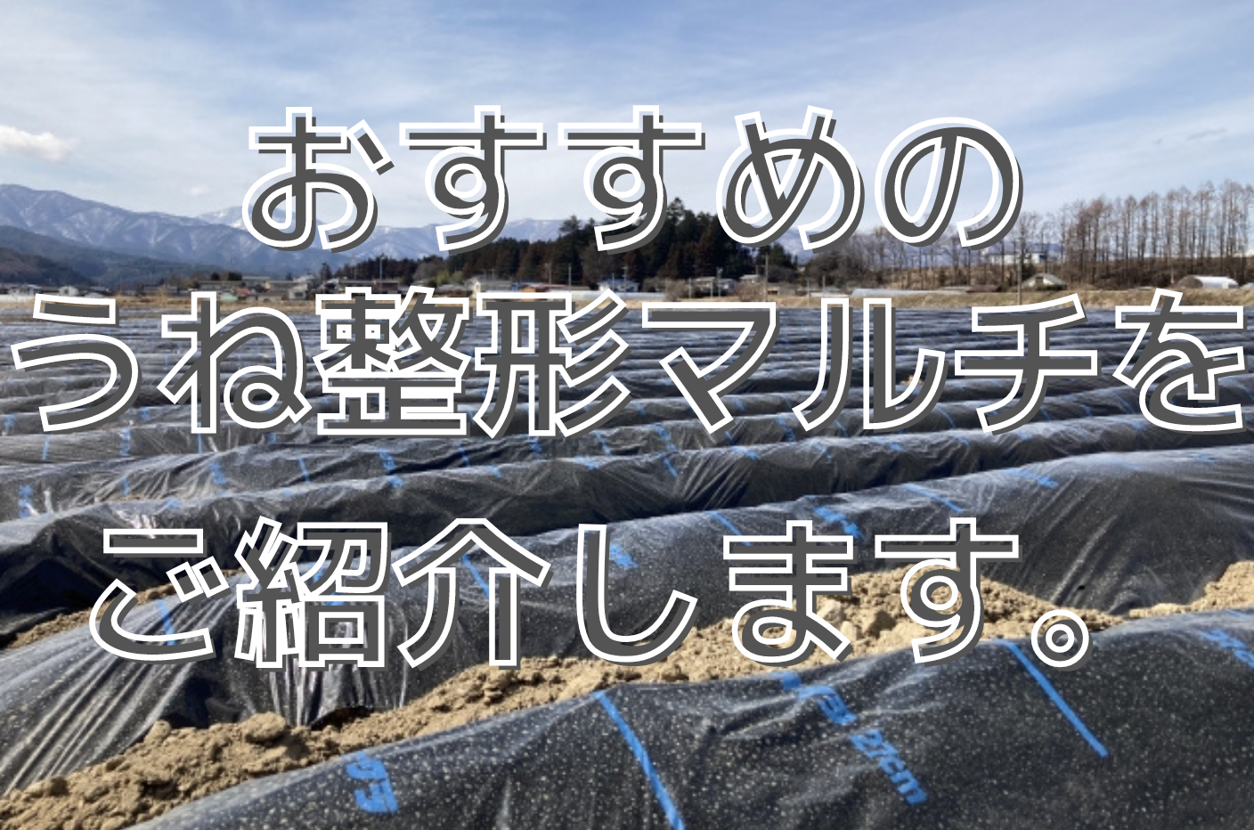 おすすめのうね整形マルチをご紹介します。 - ノウキナビブログ