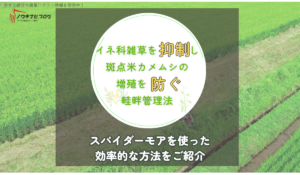 イネ科雑草を抑制し、斑点米カメムシの増殖を防ぐ畦畔管理法