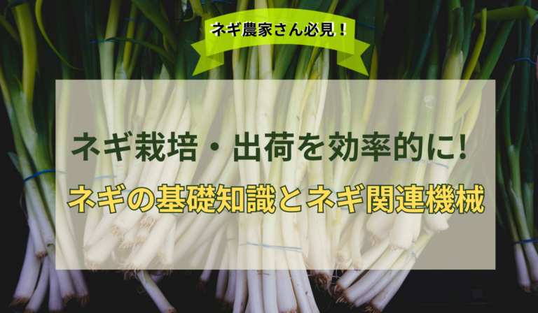 ネギ栽培・出荷を効率的に!ネギの基礎知識とネギ関連機械 - ノウキナビブログ|農機情報をお届け中!