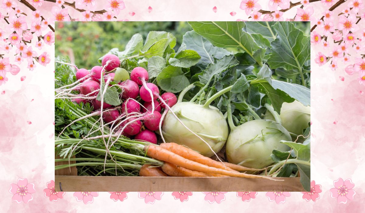 春野菜の植え付け時期と育て方｜3月から始める畑仕事 - ノウキナビ 