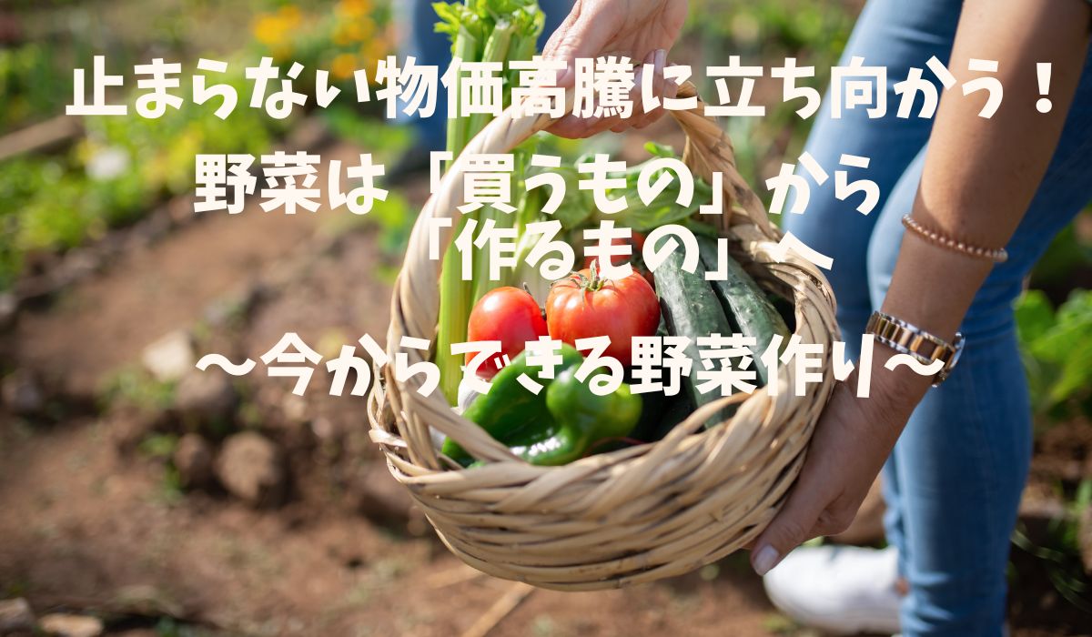 止まらない物価高騰に立ち向かう！「野菜は買うもの」から「作るもの 