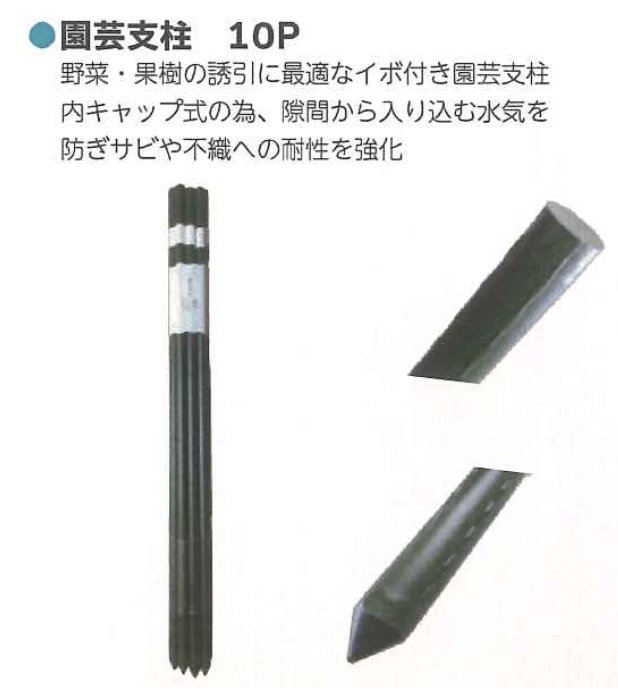 国内即発送 シンセイ イボ付き 園芸支柱 イボ支柱 20mm×2100mm 50本入 内キャップ式 農業資材 園芸用品 家庭菜園 イボ竹 