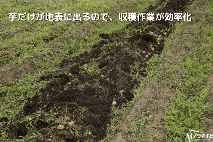 掘取機 ニプロ D-551A(H) 芋掘り機の商品画像4