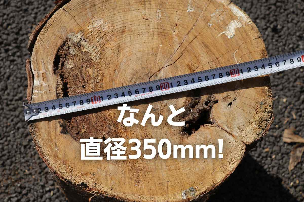 薪割り機 エープラス MTD LS8iの商品画像9