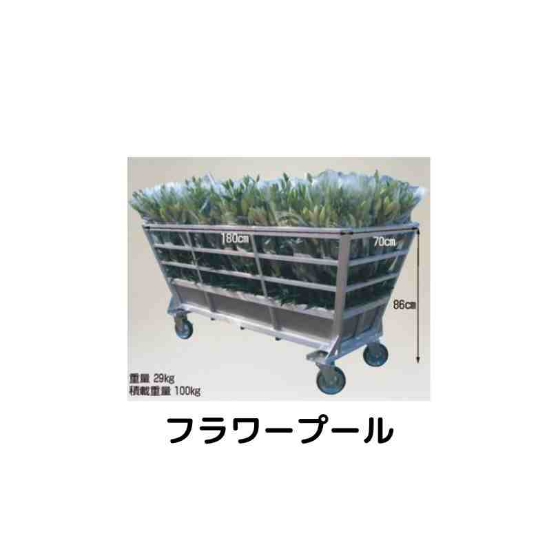 フラワープール ハラックス YR-1970