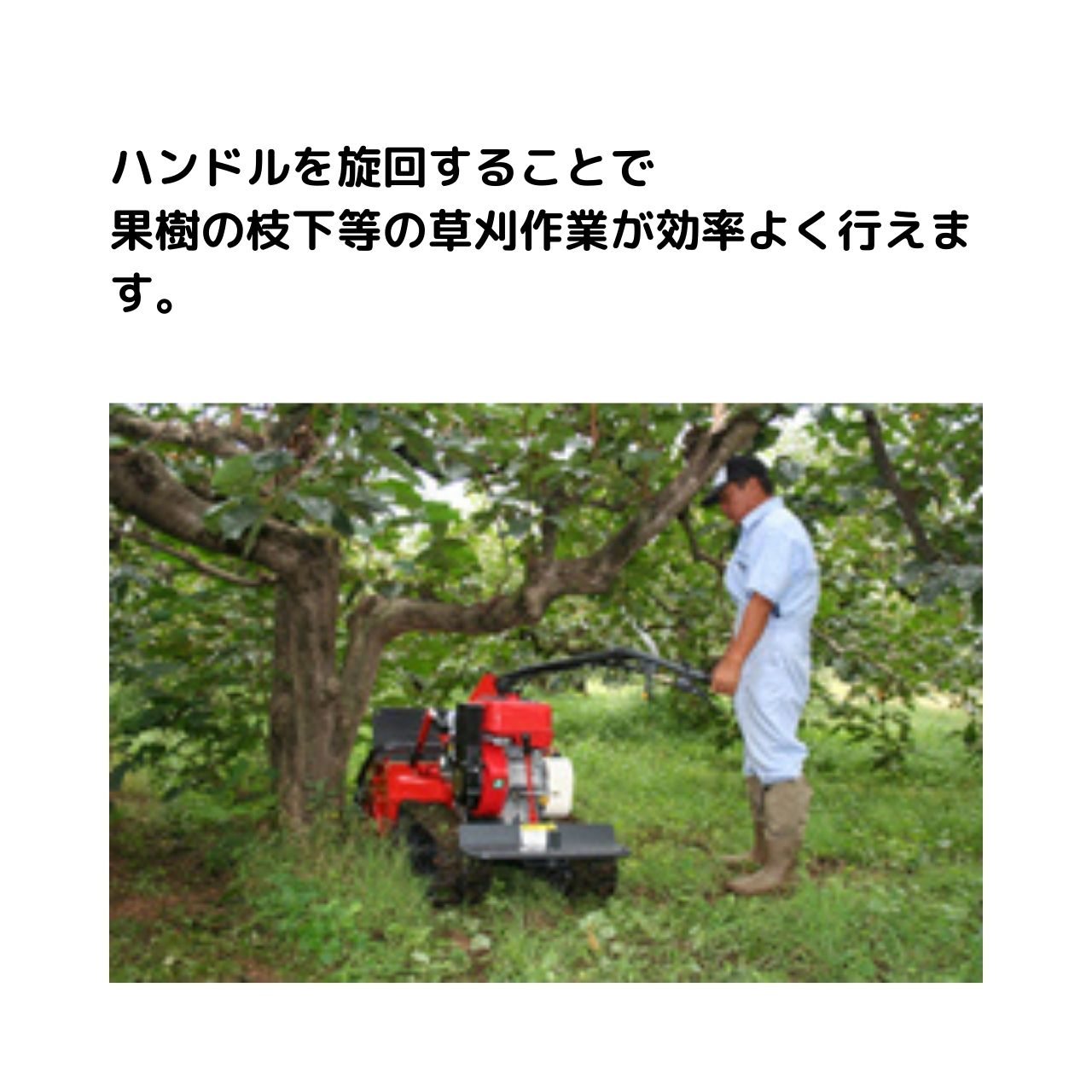 筑水キャニコム ハンマーナイフモア CG82MS ブッシュカッター・ジョージJr. 草なぎ