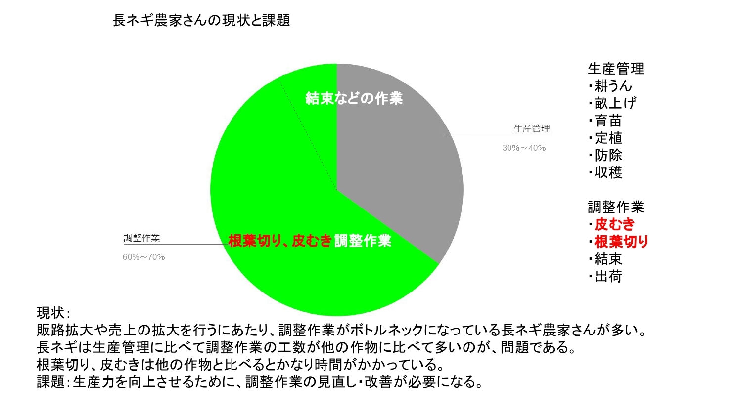 長ネギ根葉切り皮剥き機ベストロボマツモトMB-1D2-75C型の商品画像3