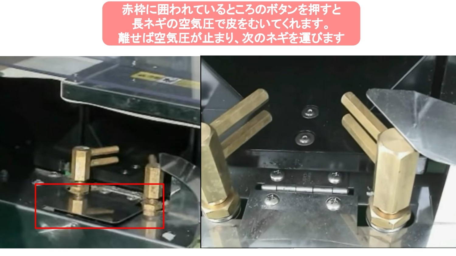 長ネギ根葉切り皮剥き機ベストロボマツモトMB-1D2-75C型の商品画像6