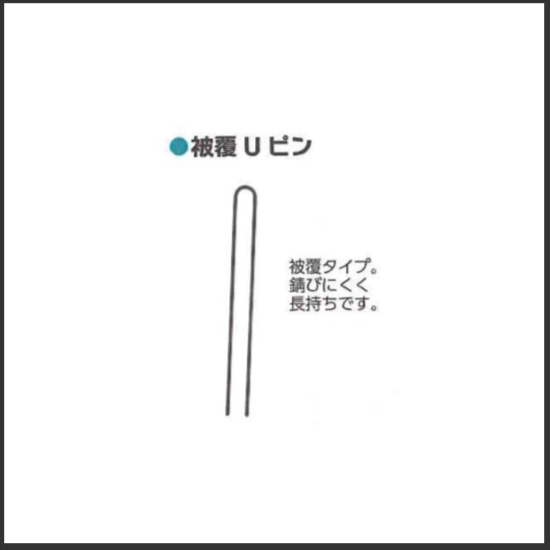 小ネギ・島らっきょう・青ネギ調整機マツモトMCY2-15C/P型｜農機具通販